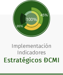 implementacion indicadores estrategicos