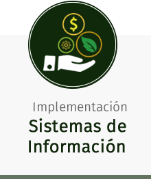 implementacion sistemas informacion